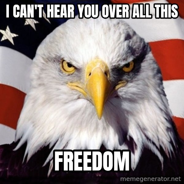 American Pride Eagle meme: i can't hear you over all this / freedom