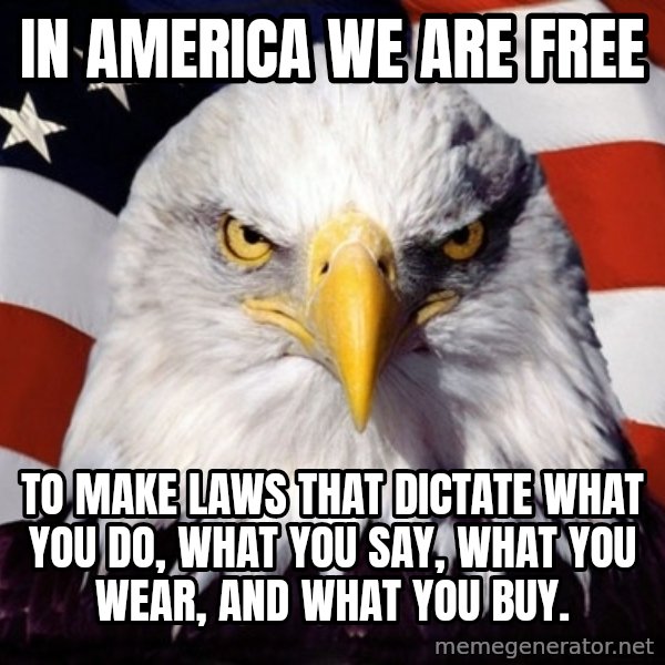 American Pride Eagle meme: in america we are free / to make laws that dictate what you do, what you say, what you wear, and what you buy.