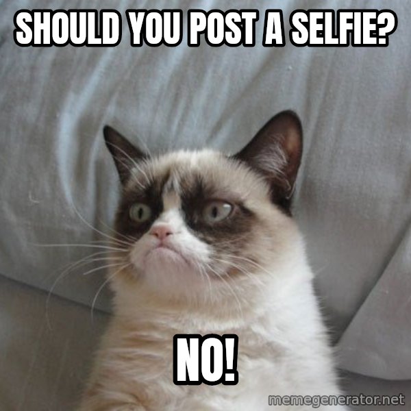 Grumpy cat good meme: should you post a selfie? / No!