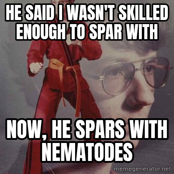 PTSD Karate Kyle meme: he said I wasn't skilled enough to spar with / now, he spars with nematodes