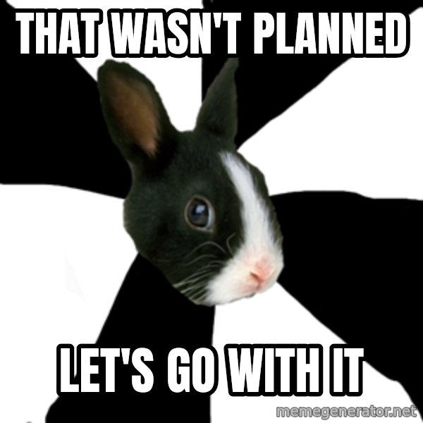 Roleplaying Rabbit meme: that wasn't planned / let's go with it