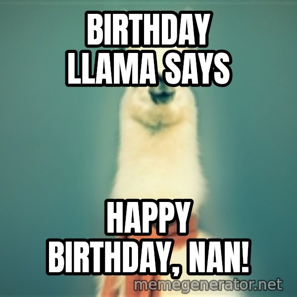 Pancakes llama meme: birthday llama says / happy birthday, nan!