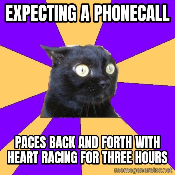 Anxiety Cat meme: expecting a phonecall / paces back and forth with heart racing for three hours
