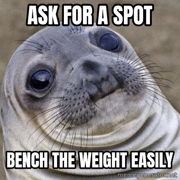 Awkward Seal meme: Ask for a spot / Bench the weight easily