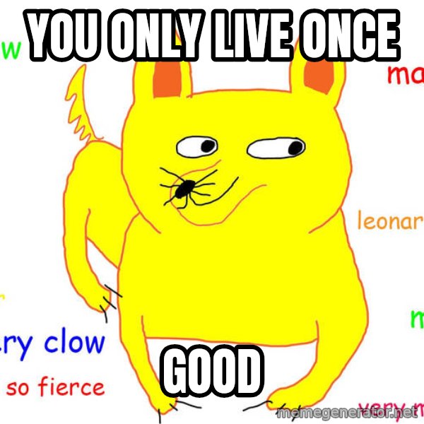 Grumpy Cat  meme: You only live once / Good