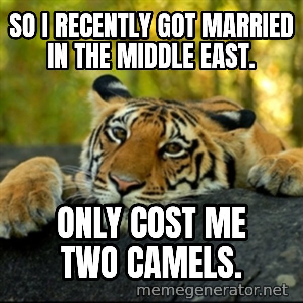 Confession Tiger meme: sO I RECENTLY GOT MARRIED IN THE MIDDLE EAST. / ONLY COST ME TWO CAMELS.