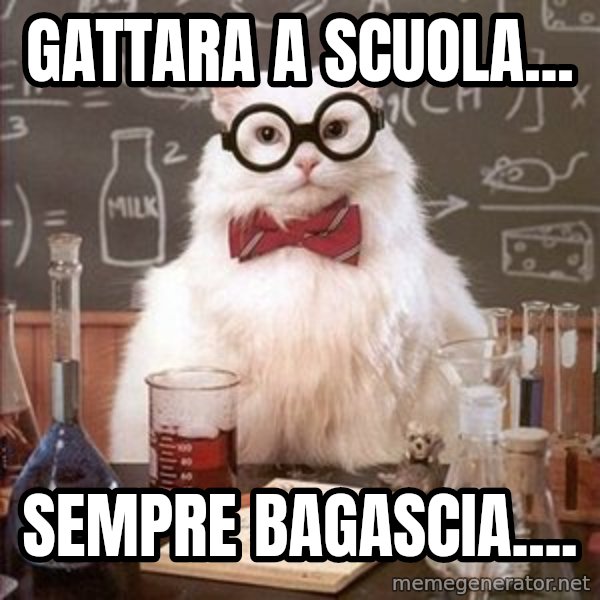 Chemistry Cat meme: gattara a scuola... / sempre bagascia....