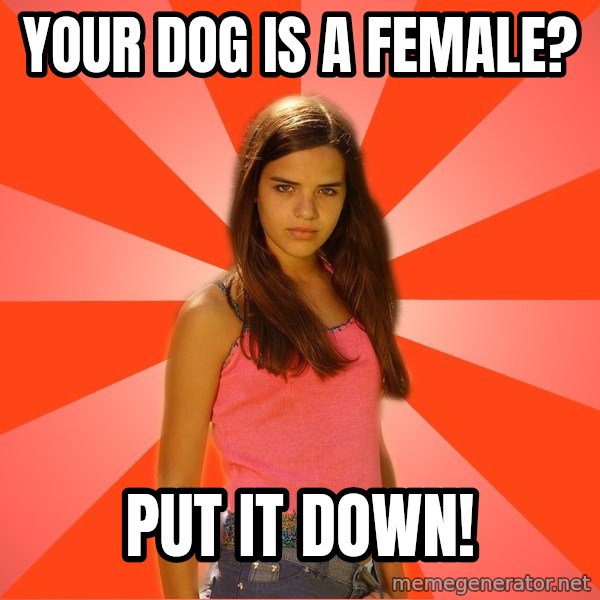 Jealous Girl meme: your dog is a female? / put it down!