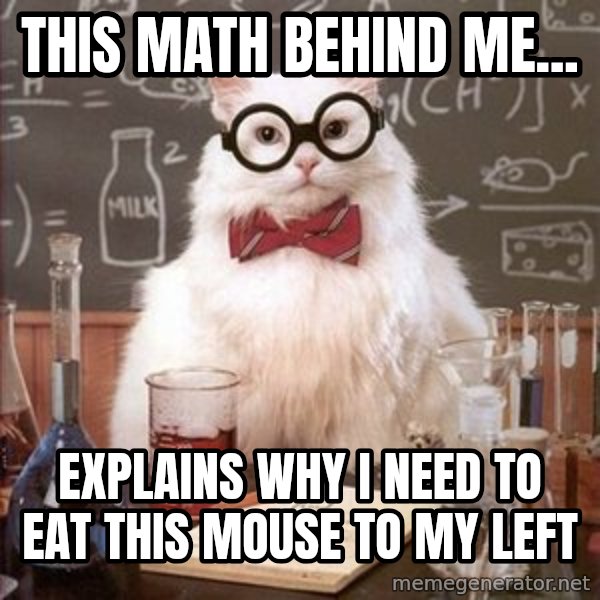 Chemistry Cat meme: This math behind me... / Explains why i need to eat this mouse to my left