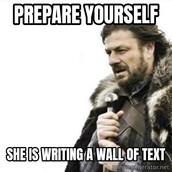 Prepare yourself meme: prepare yourself / she is writing a wall of text