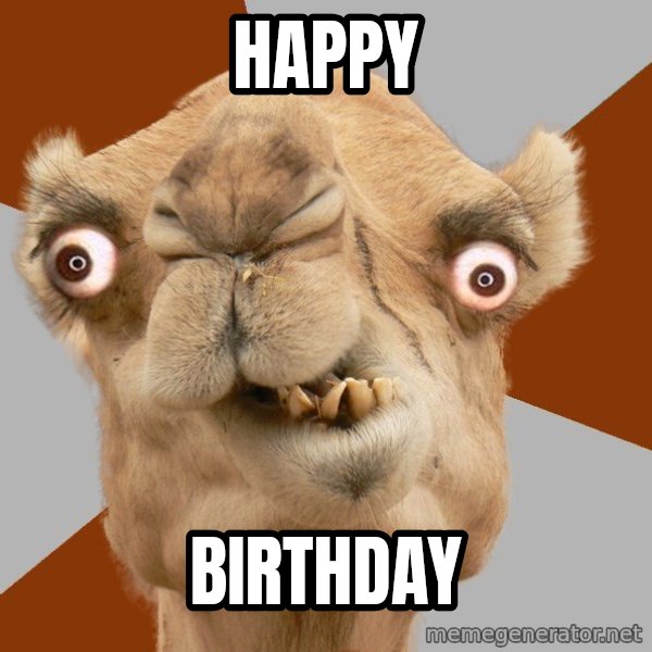 Crazy Camel lol meme: Happy / birthday