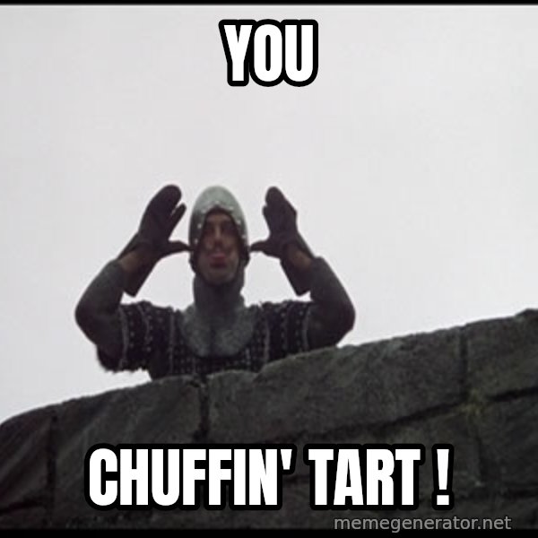 Monty Python French Knight Taunt meme: YOU / chuffin' TART !