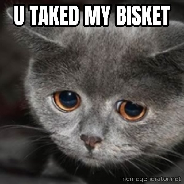 Sadcat meme: u taked my bisket