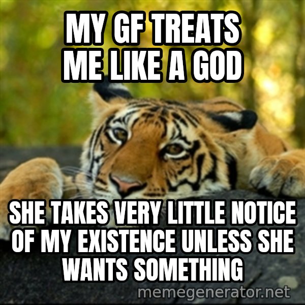 Confession Tiger meme: My GF treats me like a God / She takes very little notice of my existence unless she wants something