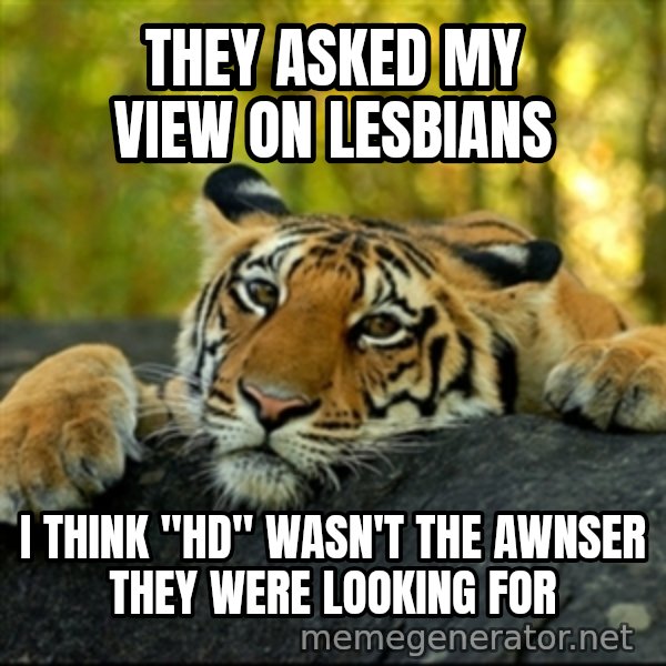 Confession Tiger meme: They asked my view on lesbians / i think "Hd" wasn't the awnser they were looking for