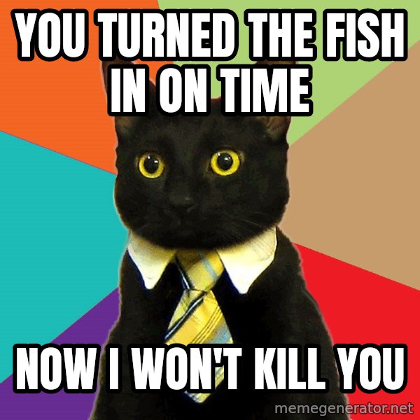 Business Cat meme: You turned the fish in on time / now i won't kill you