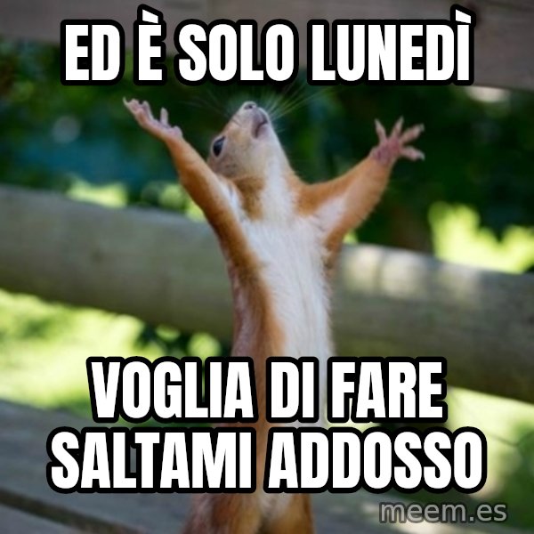 Praising Squirrel meme: ed è solo lunedì / voglia di fare saltami addosso