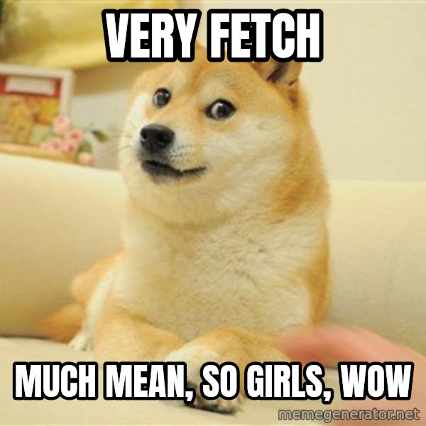 so doge meme: very fetch / much mean, so girls, wow