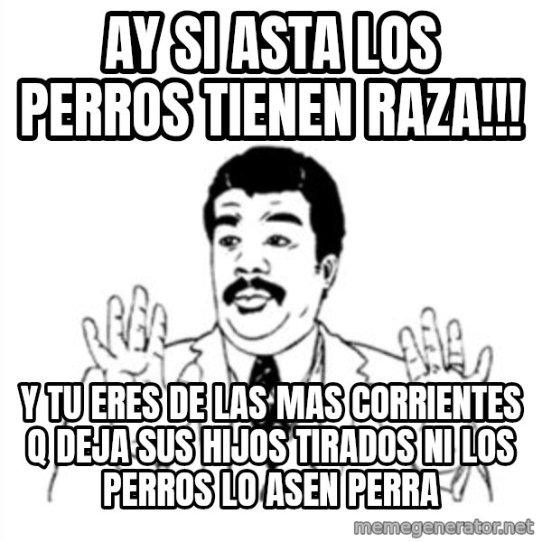 aysi meme: AY SI ASTA LOS PERROS TIENEN RAZA!!! / Y TU ERES DE LAS MAS CORRIENTES Q DEJA SUS HIJOS TIRADOS NI LOS PERROS LO ASEN PERRA