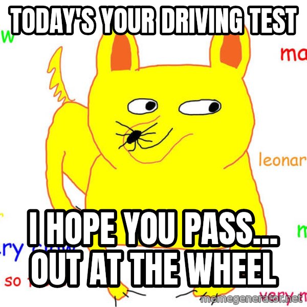 Grumpy Cat  meme: Today's your driving test / i hope you pass... out at the wheel