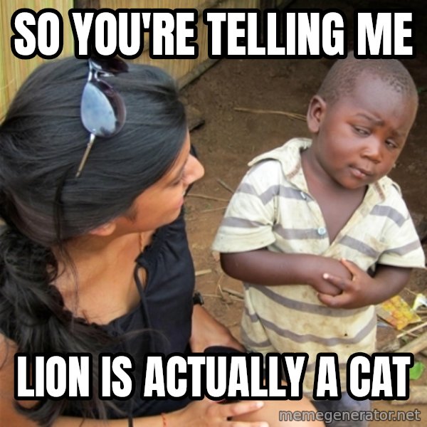 So You're Telling me meme: so you're telling me / lion is actually a cat