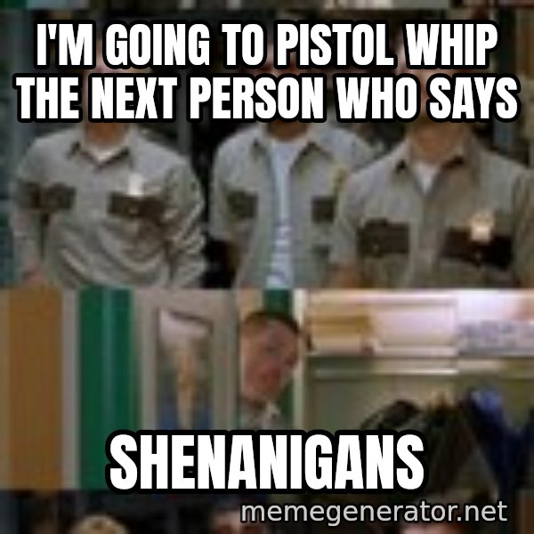 Super Troopers Shenanigans meme: I'm going to pistol whip the next person who says / shenanigans