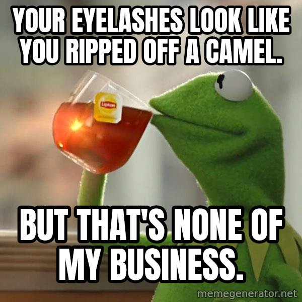 Kermit The Frog Drinking Tea meme: YOUR EYELASHES LOOK LIKE YOU RIPPED OFF A CAMEL. / BUT THAT'S NONE OF MY BUSINESS.