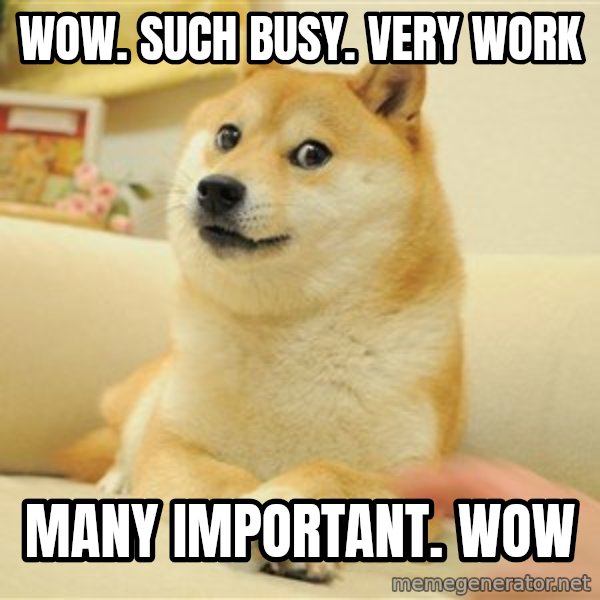 so doge meme: WOW. such busy. very work / many important. wow