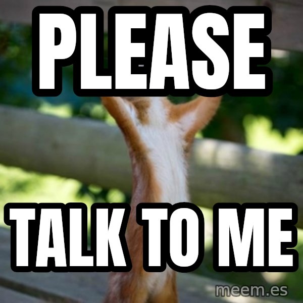 Praising Squirrel meme: Please / Talk to me