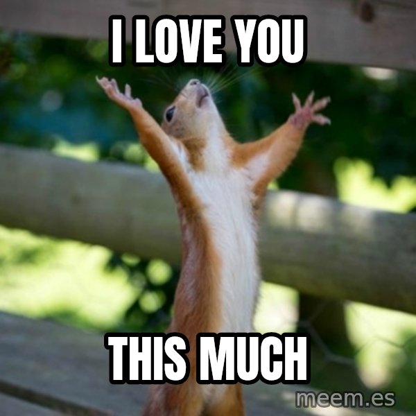 Praising Squirrel meme: I love you / This much