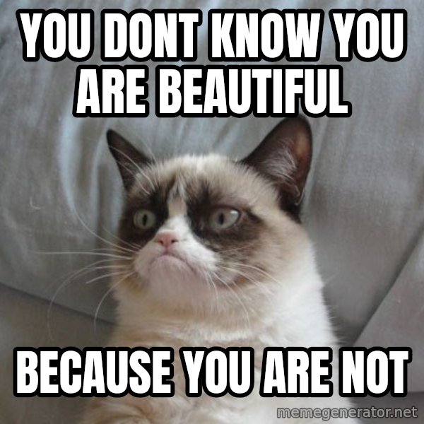 Grumpy cat good meme: you dont know you are beautiful / because you are not