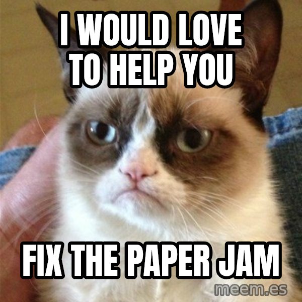 Grumpy Cat  meme: I would love to help you / fix the paper jam