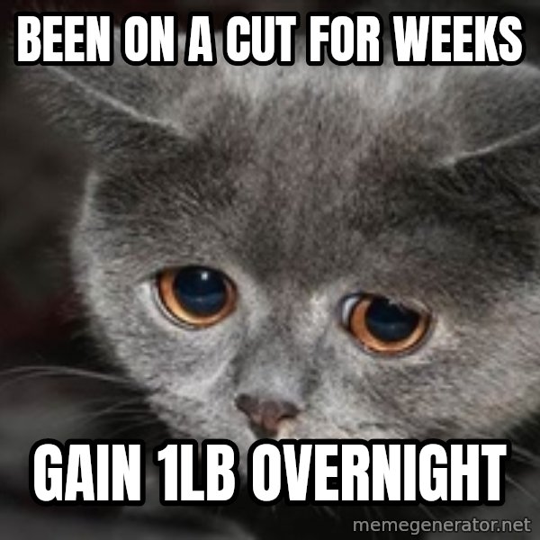 Sadcat meme: Been on a cut for weeks / Gain 1lb overnight
