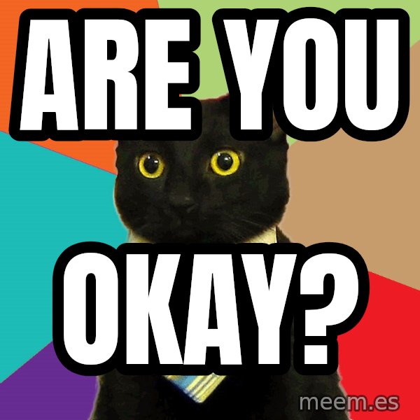 Business Cat meme: ARE YOU / OKAY?
