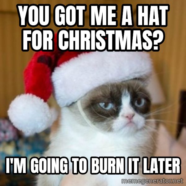 Grumpy Cat Santa Hat meme: You got me a hat for Christmas? / I'm going to burn it later