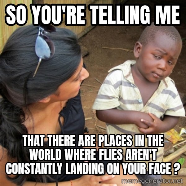 So You're Telling me meme: so you're telling me / that there are places in the world where flies aren't constantly landing on your face ?