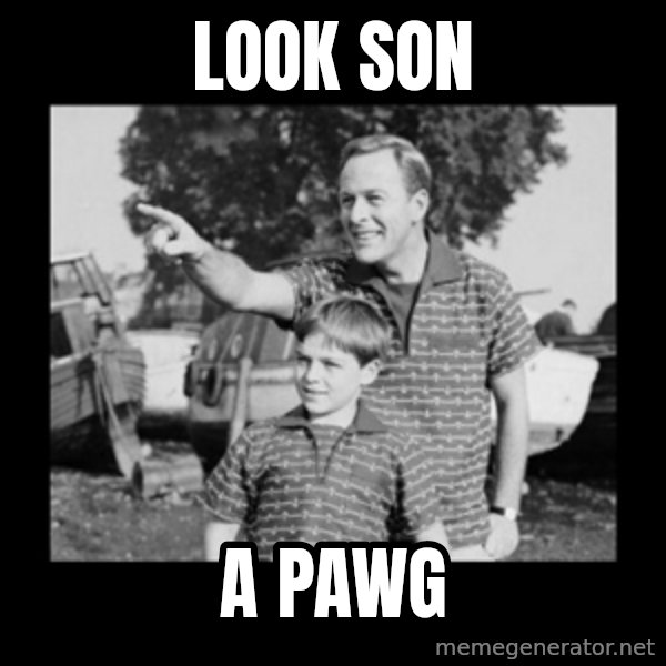 look son a faggot meme: look son / a pawg