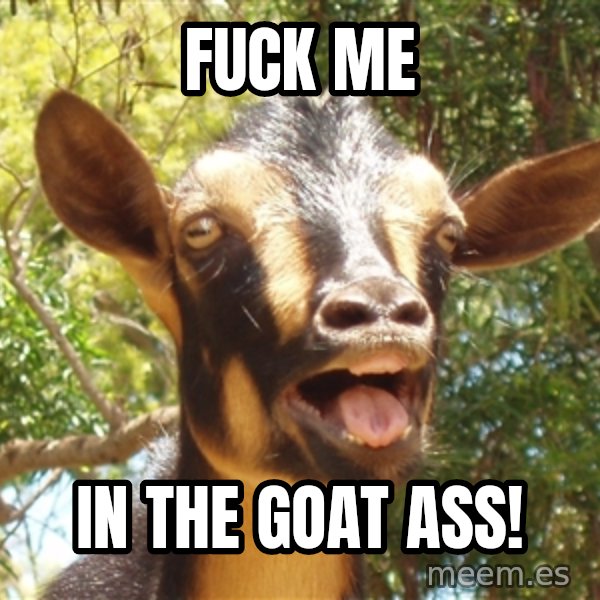Illogical Goat meme: fuck me / in the goat ass!