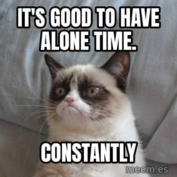 Grumpy cat good meme: It's good to have alone time. / CONSTANTLY