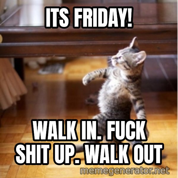 walking cat meme: ITS FRIDAY! / WALK IN. FUCK SHIT UP. WALK OUT