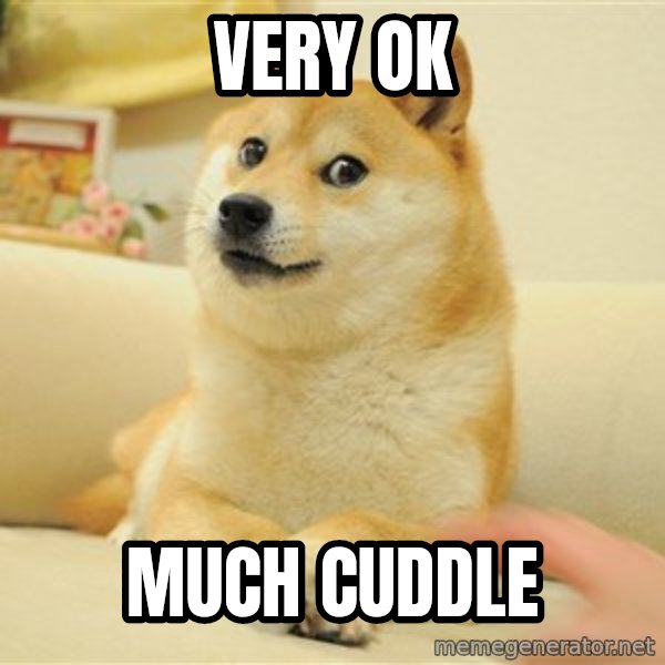 so doge meme: VERY OK / mUCH cuddle