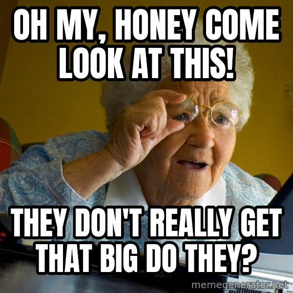Internet Grandma Surprise meme: oh my, honey come look at this! / They don't really get that big do they?