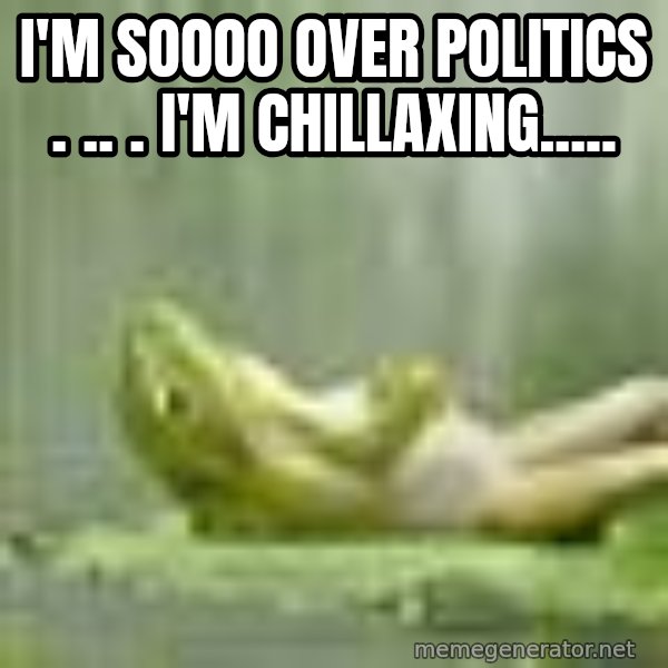 Frog Relaxing meme: I'm Soooo Over Politics . .. . I'm Chillaxing.....