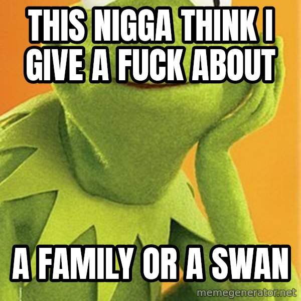 Kermit the frog meme: this nigga think i give a fuck about / a family or a swan