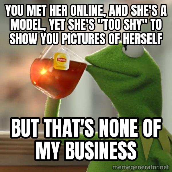 Kermit The Frog Drinking Tea meme: You met her online, and she's a model, yet she's "too shy" to show you pictures of herself / But that's none of my business
