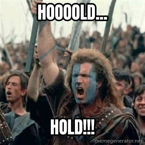 William Wallace braveheart mel gibson lol meme: HOOOOLD... / hold!!!