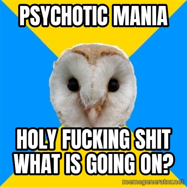 Bipolar Owl meme: PSYCHOTIC MANIA / HOLY FUCKING SHIT WHAT IS GOING ON?