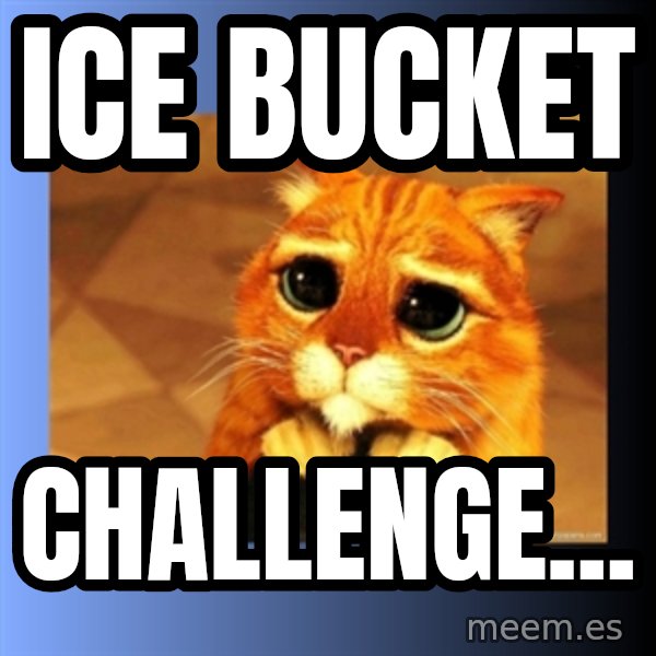 puss in boots eyes 2 meme: Ice Bucket / Challenge...