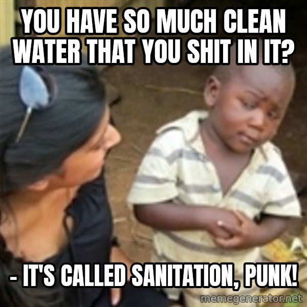Skeptical african kid  meme: You have so much clean water that you shit in it? / - It's called sanitation, punk!