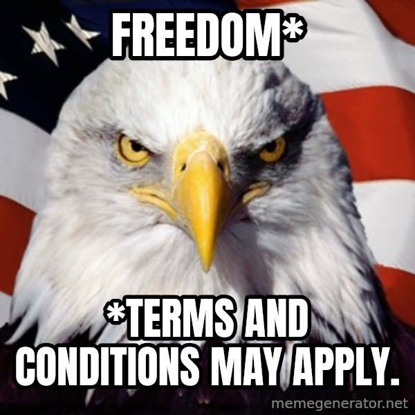Freedom Eagle  meme: Freedom* / *Terms and conditions may apply.